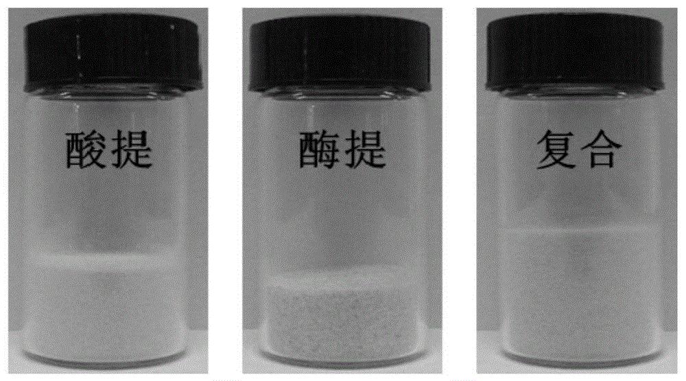 一种具有肠道益生功能的柑橘果胶及其制备方法与应用