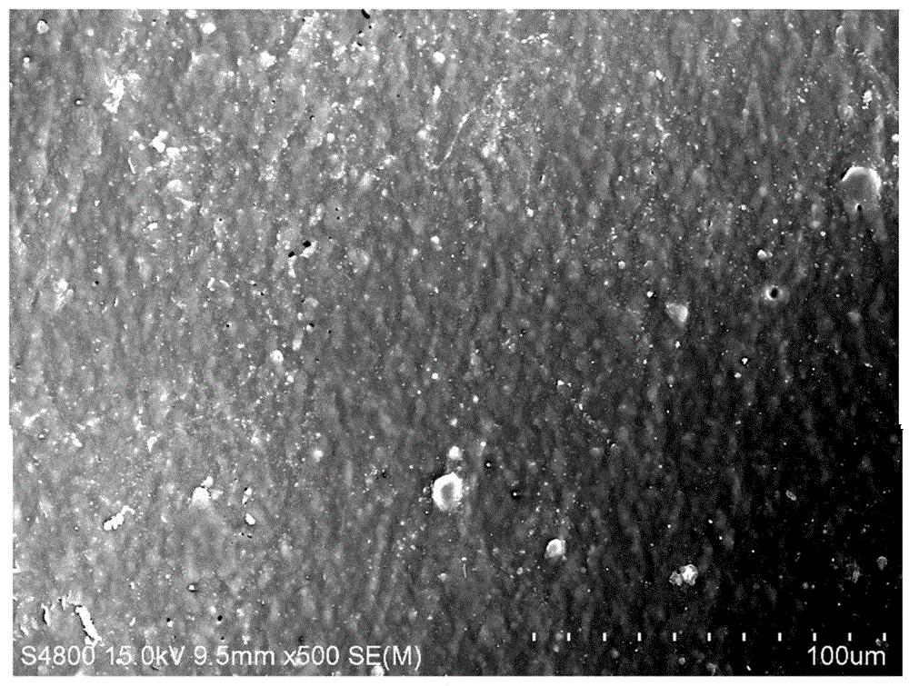 一种肥料型生物降解地膜及其制备方法