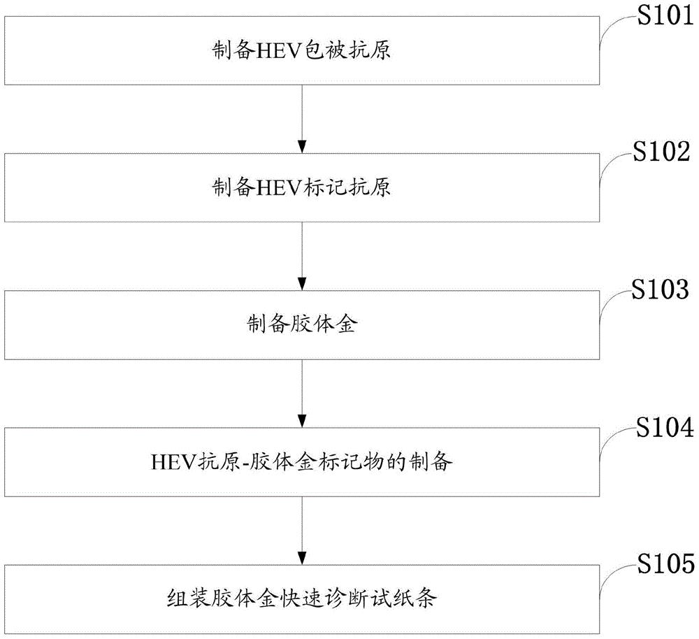 一种猪HEV总抗体胶体金快速诊断试纸条及其制备方法
