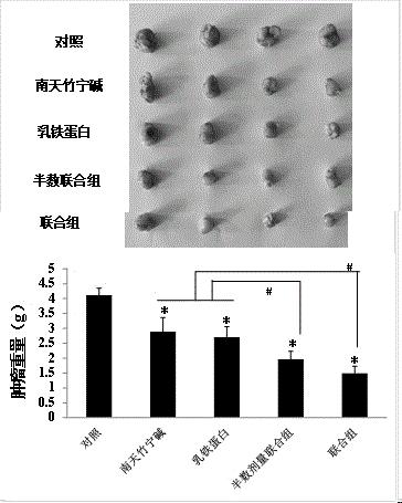 一种抗癌症的药物组合物