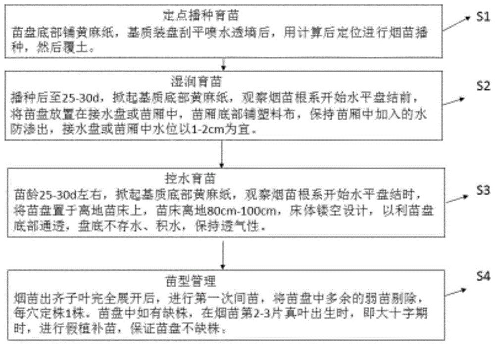 一种烟草两段式定点定株毯式育苗方法