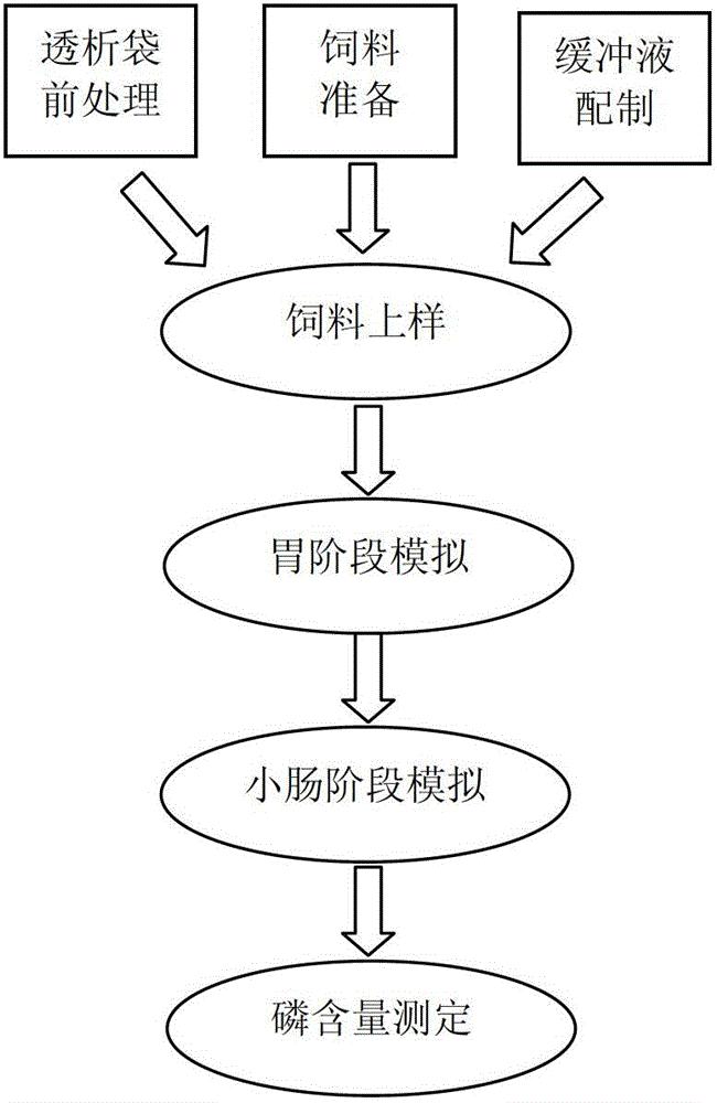 一种猪饲料有效磷仿生评定法