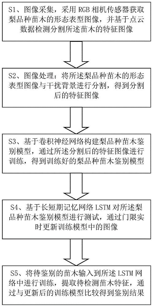一种基于AI深度学习的梨品种苗木鉴别方法