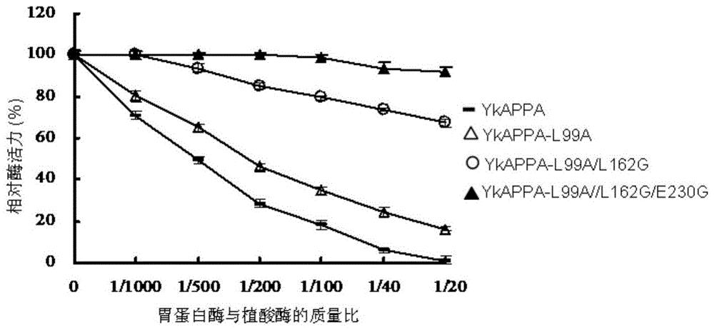 胃蛋白酶抗性改良的植酸酶突变体及其编码基因和应用