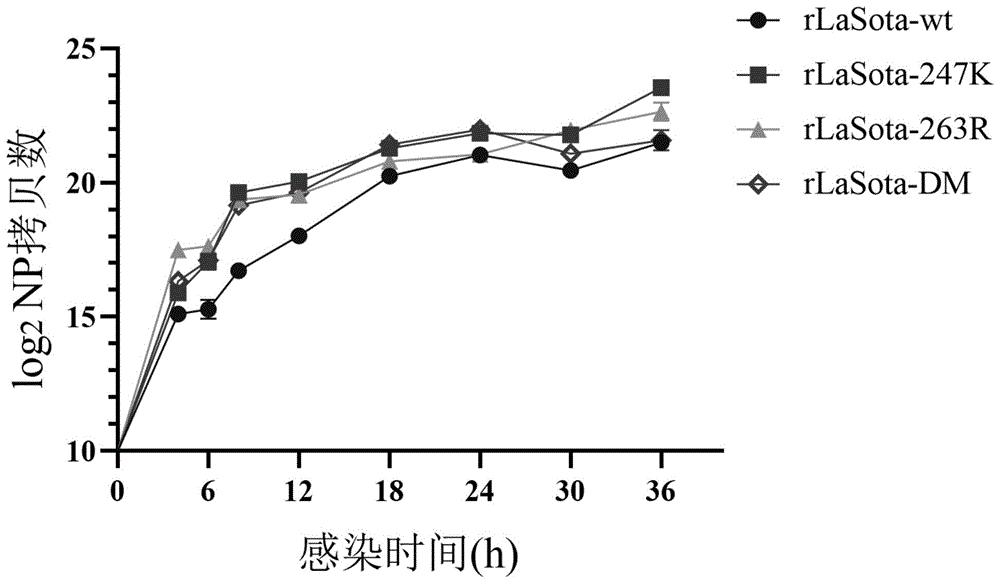 一种重组新城疫病毒基质蛋白及其应用