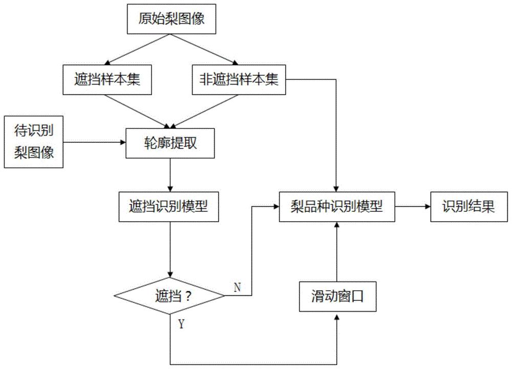 一种基于图像识别的梨品种识别方法