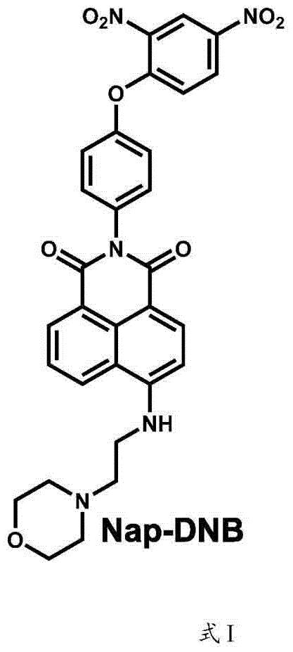 硒醇反应型萘酰亚胺荧光探针及其制备方法和在食品检测中的应用