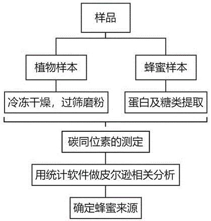 一种鉴别蜂蜜产地来源的方法与应用