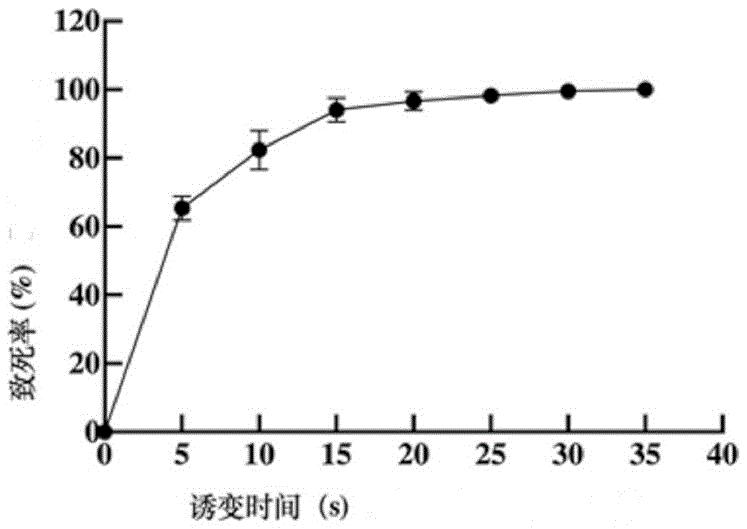 高蛋白、高DHA裂殖壶菌诱变株及其作为饲料添加剂的应用