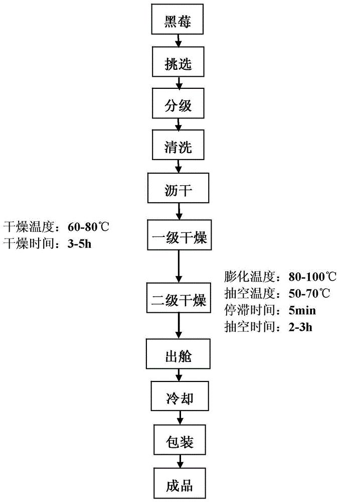一种膨化黑莓及其制备方法